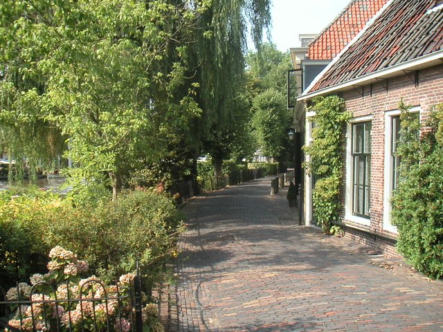PICT0825.JPG