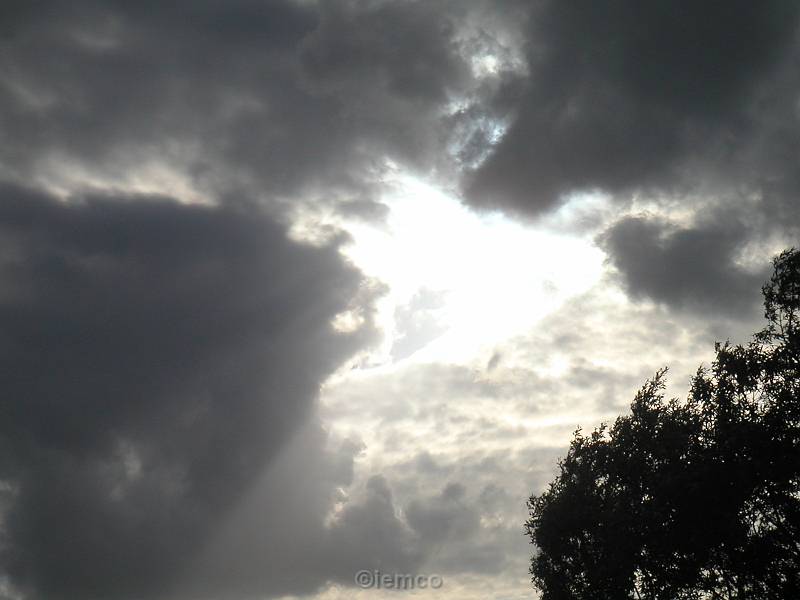 PICT3373
