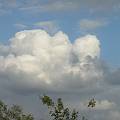 PICT3374